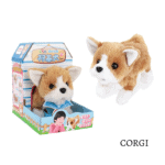 Corgi